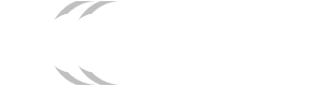 Logo Infocamere